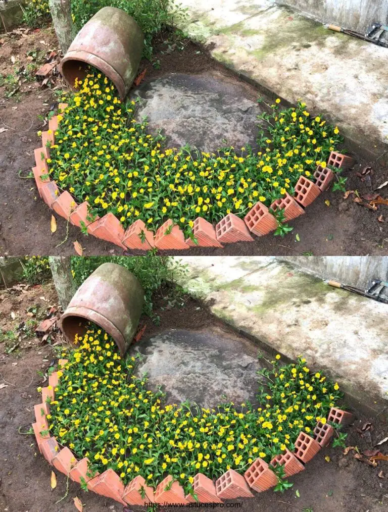 Crea il tuo piccolo torrente fiorito nel giardino