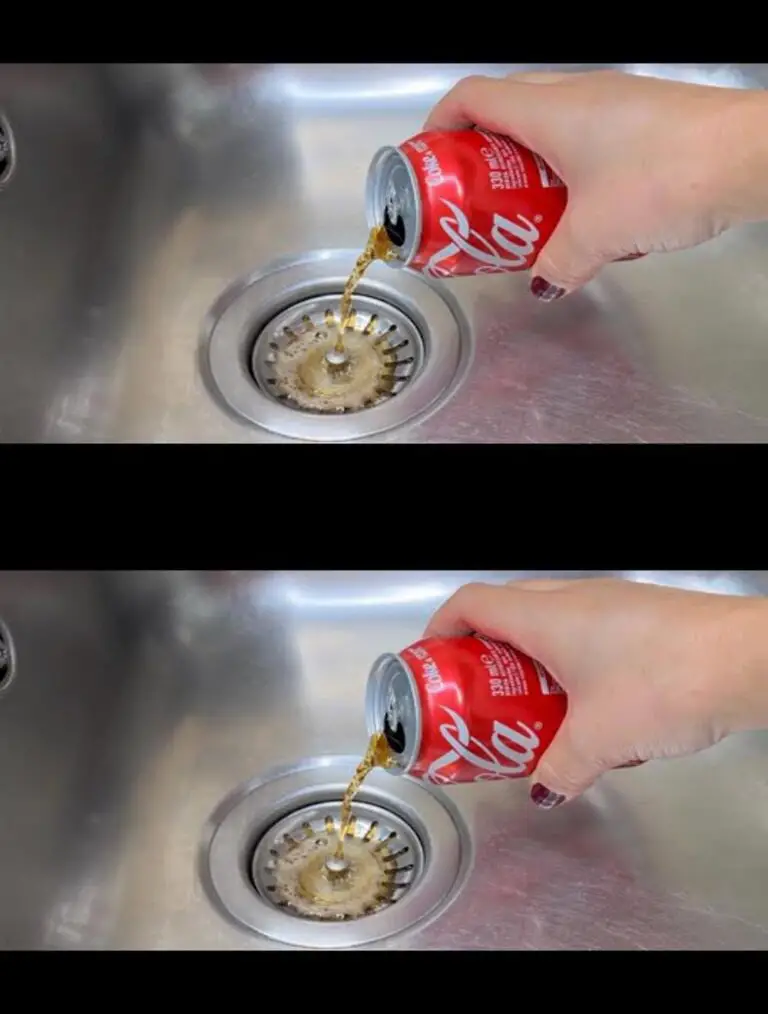 Ho svuotato la mia Coca-Cola nel lavandino e lì… la sorpresa!