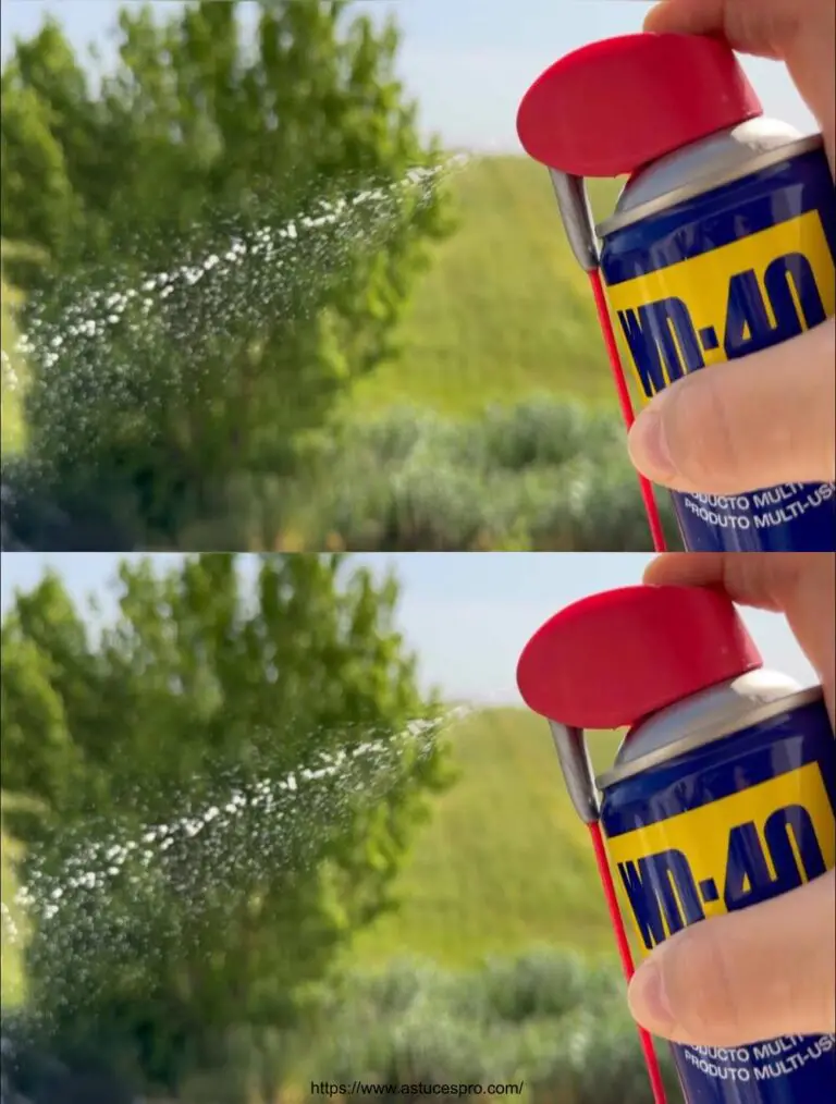 17 grandi consigli per sapere con il WD-40 che il mondo dovrebbe sapere