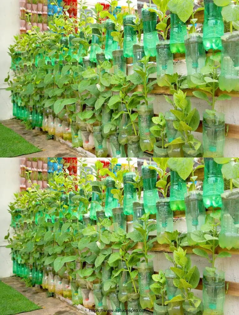 Coltivare le verdure a casa con un’acqua automatica: Idee del giardino vegetale verticale