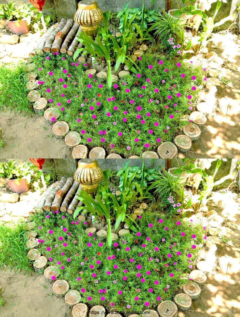 Idee di giardinaggio: intelligenti e creative