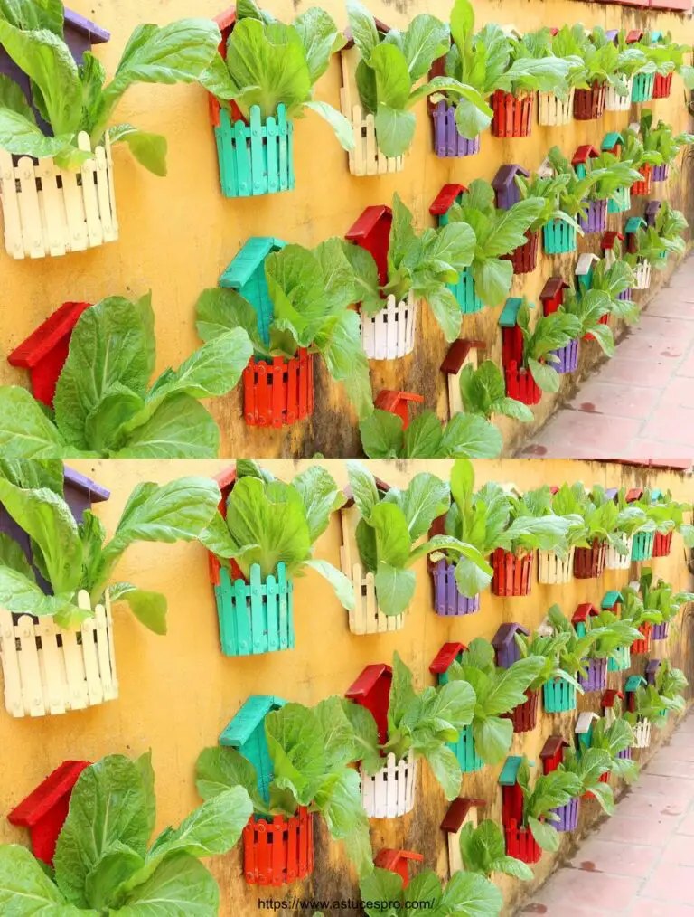 Ortofrutticolo colorato Stunning on Wall, Growing Vegetables in home