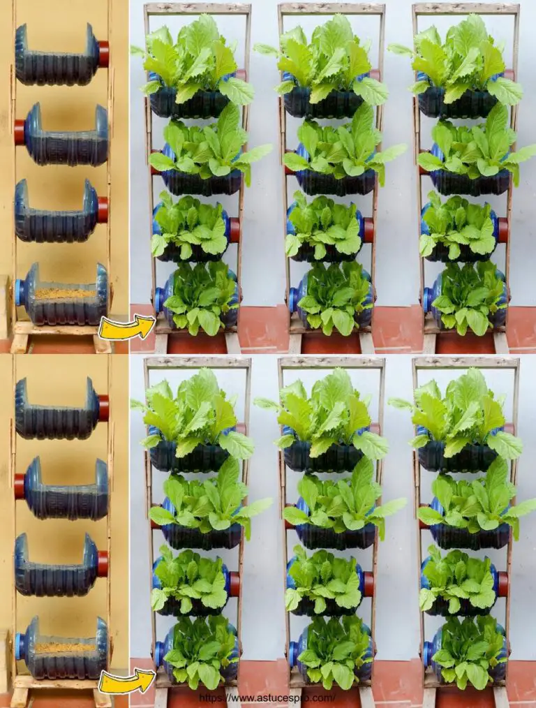 Superb Vertical Garden from Plastic Bottles, Grow Vegetables at You!