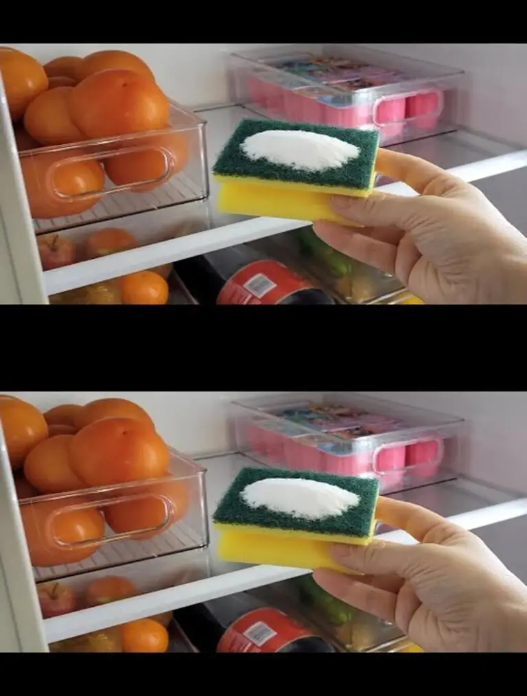 Mettete un PONGE con Soda Bicarbonato nel vostro FRIGO e stupitevi del risultato!