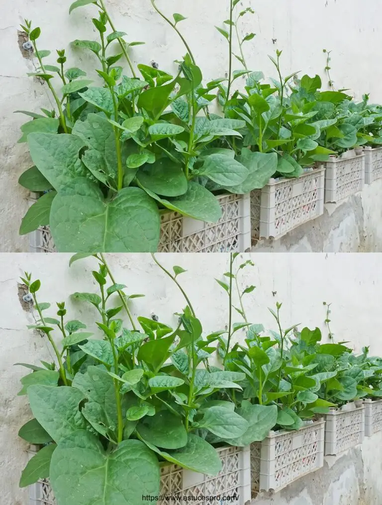 Non c’è bisogno di un giardino, trasformare un muro in un giardino in miniatura con vecchi cestini di plastica.