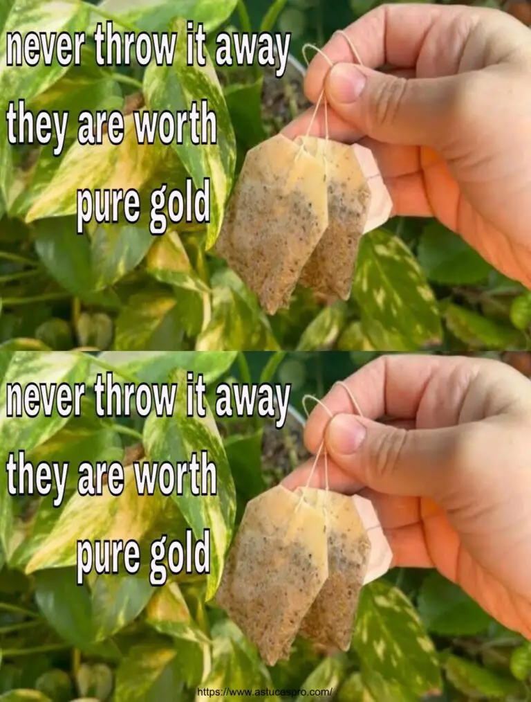 Non buttare via! Valore d’oro puro per le vostre piante