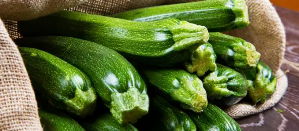 Come ottenere zucchine sane e abbondanti: consigli pratici e segreti da coltivare! 🌱🥒