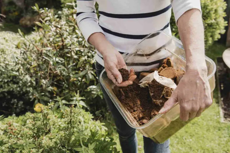Segreti del Fertilizzante Naturale con Scarti di Caffè: Un Trucchetto Eco-Friendly per il Tuo Giardino