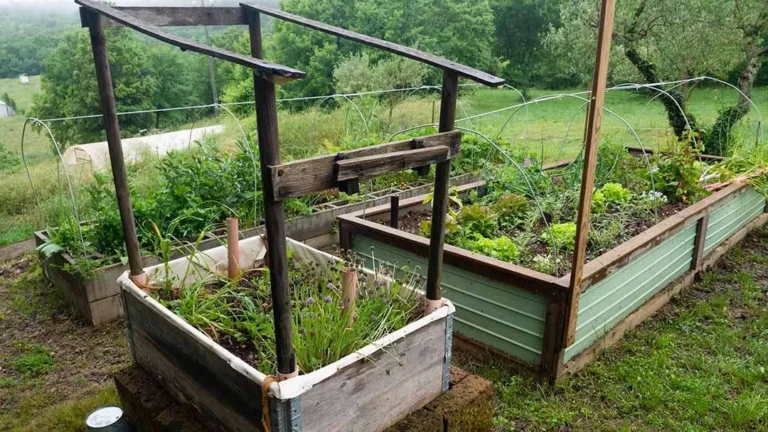 Aiuola autoirrigante: un approccio innovativo al giardinaggio