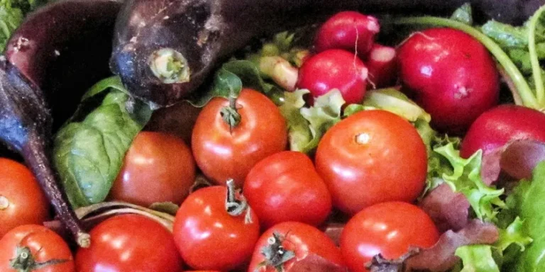 Segreti e consigli per un orto casalingo ricco di frutta e verdura