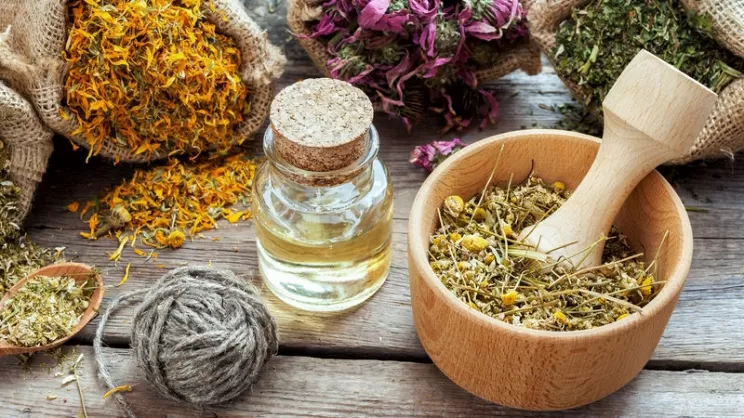 Scopri l’antico potere delle piante per il tuo benessere naturale 🌿🌺