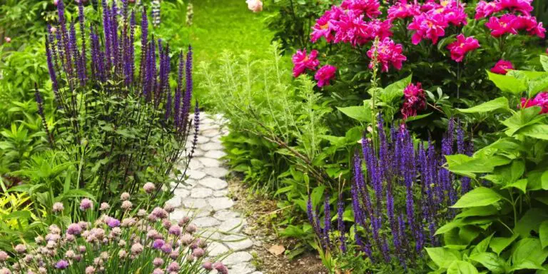 🌟 Fiori perenni di maggio per garantire una bellezza duratura al tuo giardino 🌟