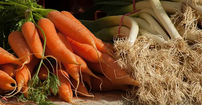 🌿 Scopri quali verdure possono prosperare all’ombra: una guida dettagliata per un orto produttivo 🌱