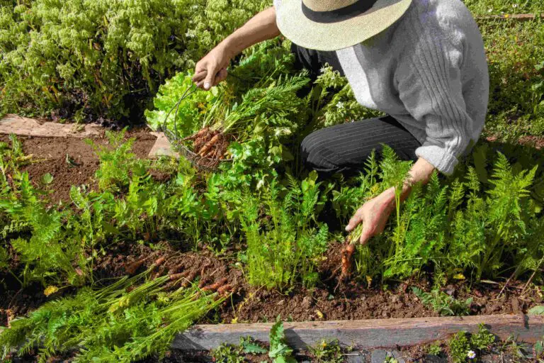Segreti per creare un giardino eco-sostenibile e ricco di vita 🌿
