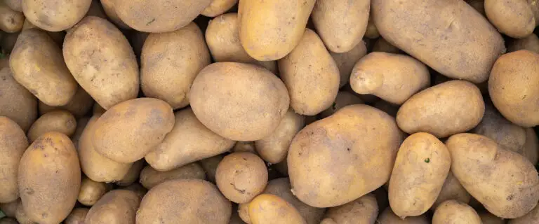 10 Segreti per Coltivare le Migliori Patate nel Tuo Giardino! 🍟🌱