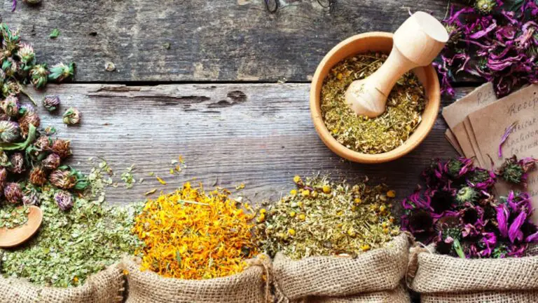 🌿 Segreti Naturali per il Benessere Quotidiano e il Sollievo dai Disturbi 🌿