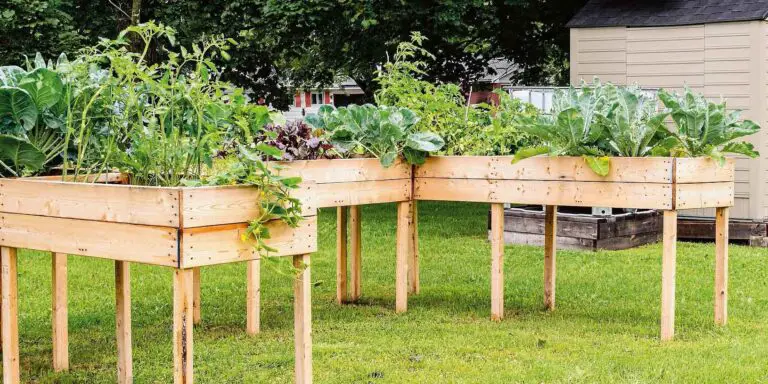 Creare un orto produttivo con aiuole rialzate e strutture di supporto