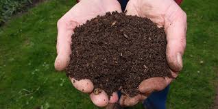 12 cose che puoi compostare