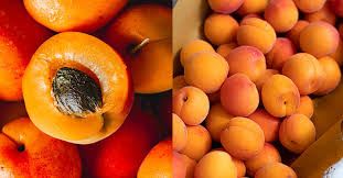 12 alberi da frutto da coltivare in casa: una guida per gustare frutta fresca fatta in casa tutto l’anno