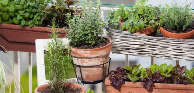 Trasforma il vecchio cesto di lavanderia in un orto verticale! 🌱🏡