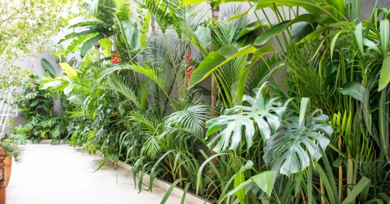 🌿 Scopri le piante migliori per decorare la tua casa e trasformare il tuo spazio in un giardino tropicale! 🌱