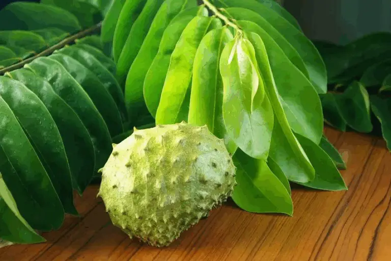 I segreti per far esplodere la frutta in vaso! 🍍🌿