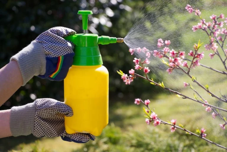 Esplorando il lato umoristico del giardinaggio fai da te: quando un contenitore domestico diventa un “erbicida naturale”