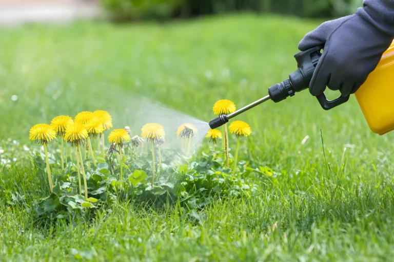 Segreti per un Giardino Sano e Piantato in Modo Naturale 🌱🌸