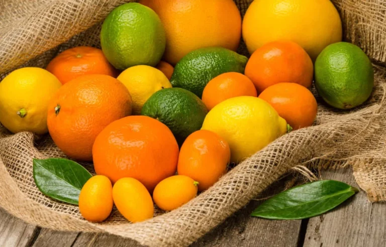 Consigli avanzati per trasformare il tuo giardino con le bucce di frutta 🍊🌿