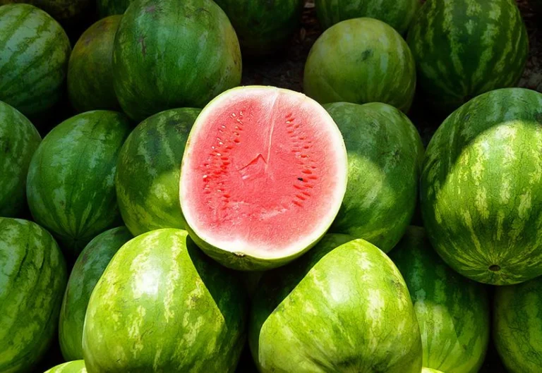 Ecco una guida ancora più dettagliata e completa per scegliere l’anguria perfetta