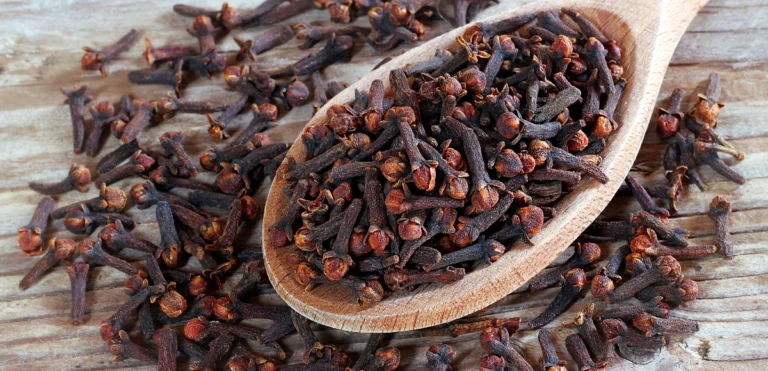 Benefici sorprendenti del Cardamomo e del Chiodo di Garofano nella tua vita quotidiana 🌿🌸