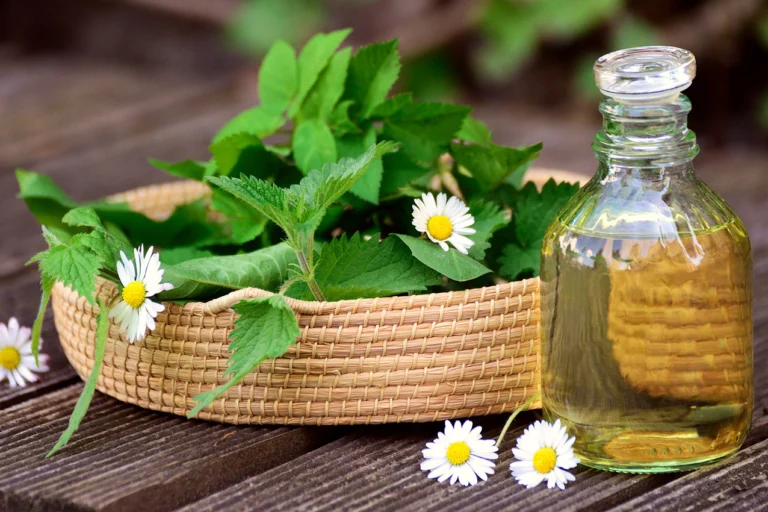 Consigli naturali ed efficaci per controllare i parassiti in casa 🌿🐜