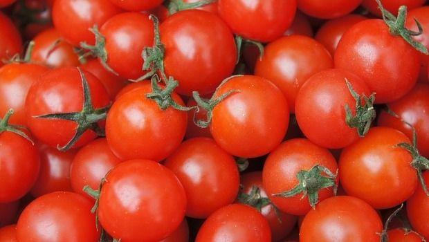 Consigli preziosi per coltivare pomodori sani e vigorosi 🍅