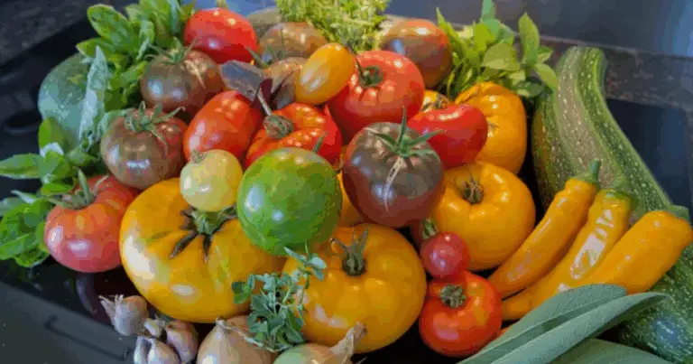 Consigli di Giardinaggio: 9 Colture Veloci per Lettini Elevati in Italia 🇮🇹