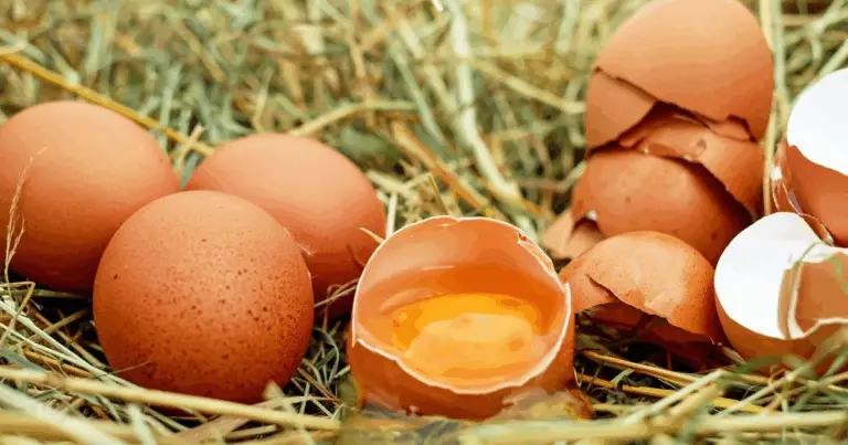 Come la dieta delle galline determina il colore del tuorlo: tutto quello che c’è da sapere 🥚✨