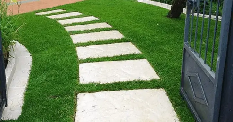 Ecco una guida dettagliata passo dopo passo per costruire un sentiero in mattoni nel tuo giardino e trasformare il tuo spazio esterno in uno spazio funzionale ed esteticamente gradevole