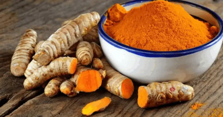 Coltivare lo zenzero in casa: una guida completa per una fornitura infinita e splendidi fiori 🌸