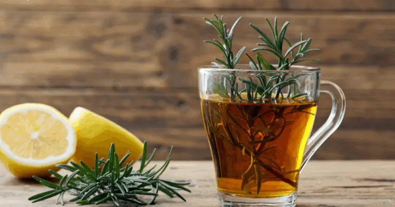 Scopri i poteri naturali della tisana al rosmarino per una salute radiosa 🌿✨