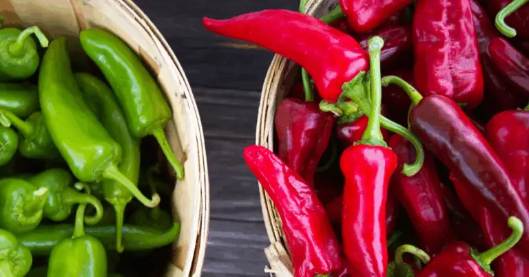 La Scala di Scoville: Guida Completa per Comprendere il Piccante dei Peperoncini