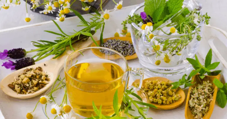 Esplorando il Potenziale delle Piante e dei Rimedi Naturali 🌿💊