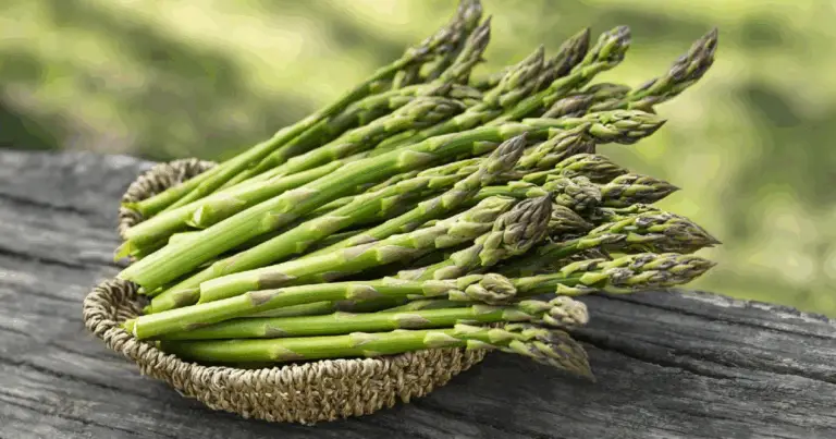 Come Coltivare l’Asparago e Assaporarne i Vantaggi per Decenni