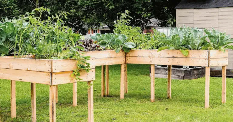 Costruire un orto rialzato con i pallet: una guida dettagliata per un progetto sostenibile e pratico 🌿