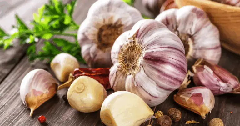 Come Conservare l’Agio tutto l’anno a Casa: I Segreti che Nessuno Ti Racconta! 🌿🧄