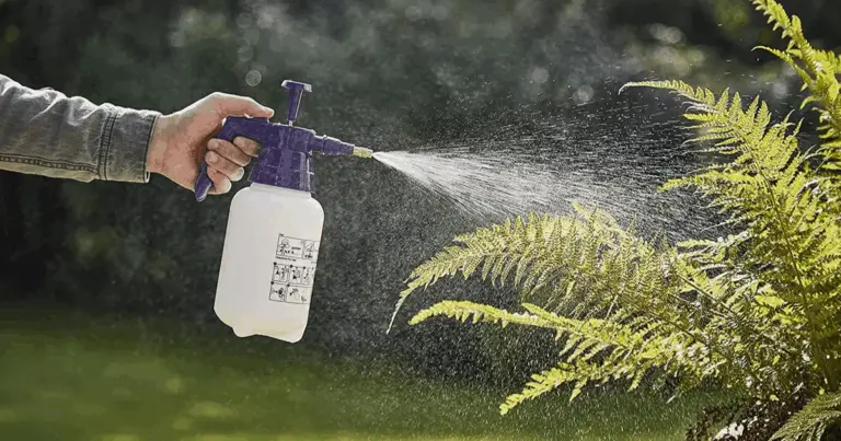 Segreti ecologici per un giardino più sano 🌿