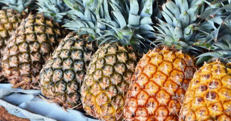 Benefici degli alimenti naturali per la salute: la guida completa per conoscere come il cibo può curare e proteggere il nostro corpo