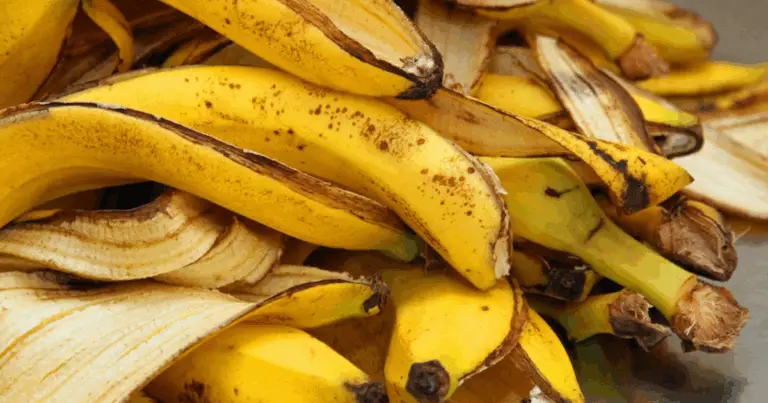 Sfrutta i Gusci di Banana come Risorsa Naturale per il Tuo Giardino: Un Segreto Sostenibile e Facile da Realizzare 🍌🌱