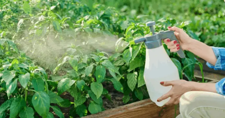  Il Segreto del Giardiniere: 10 Modi Intelligenti per Usare il Bicarbonato di Sodio nel Tuo Giardino ☀️