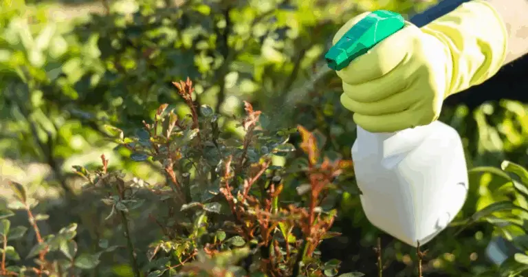 Ricetta Naturale per uno Spray Diserbante: Combattere le Erbacce con Ingredienti Semplici