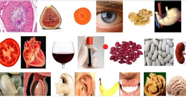 CIBO SANO: Quando gli alimenti assomigliano agli organi che proteggono!