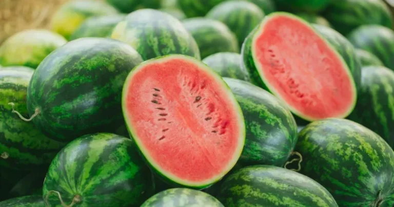 Come Scegliere l’Anguria Perfetta: Guida Completa per l’Estate